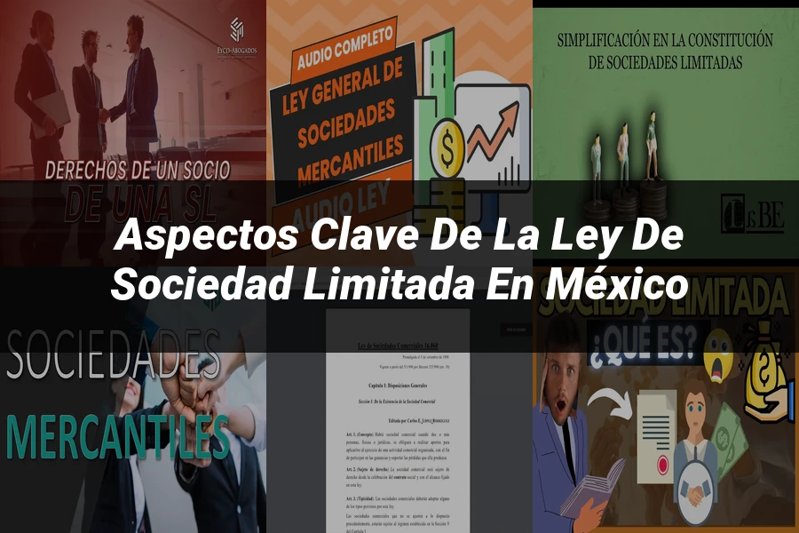 "Aspectos clave de la ley de sociedad limitada en México"
