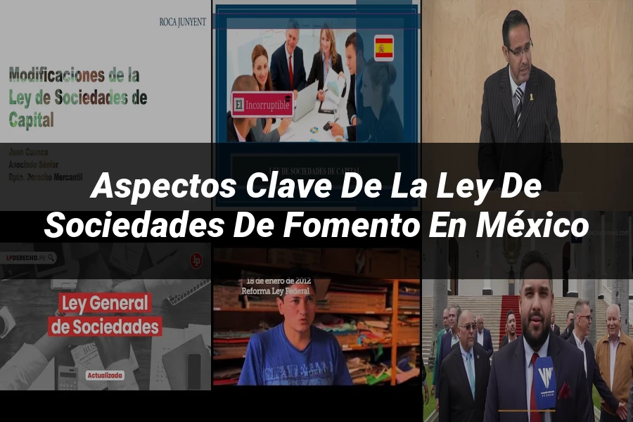 "Aspectos clave de la ley de sociedades de fomento en México"