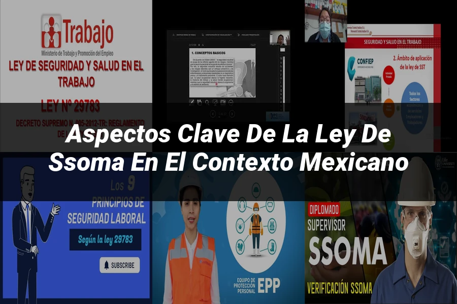 "Aspectos clave de la ley de ssoma en el contexto mexicano"