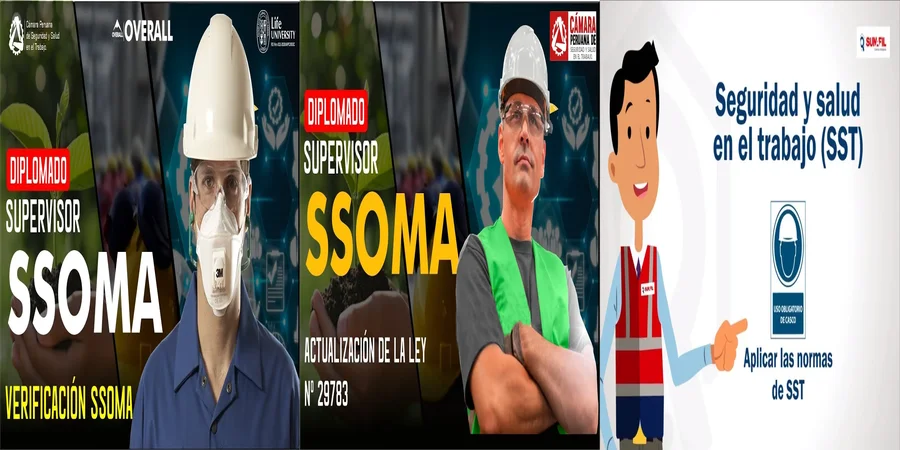 "Aspectos clave de la ley de ssoma en el contexto mexicano"