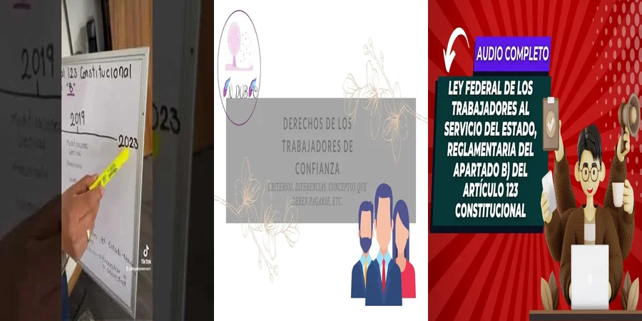"Aspectos clave de la ley de trabajadores al servicio del estado en México"