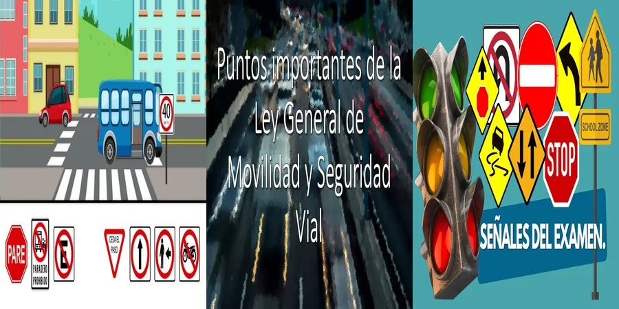 "Aspectos clave de la ley de tránsito y seguridad vial en México"