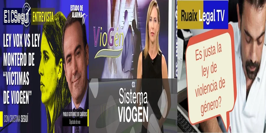 "Aspectos clave de la ley de viogen en México y sus derechos"