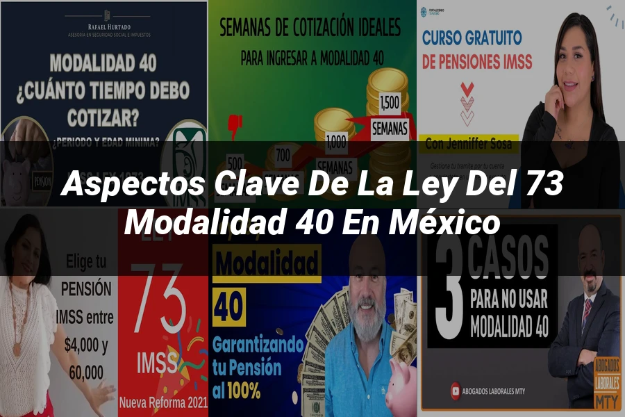 "Aspectos clave de la ley del 73 modalidad 40 en México"