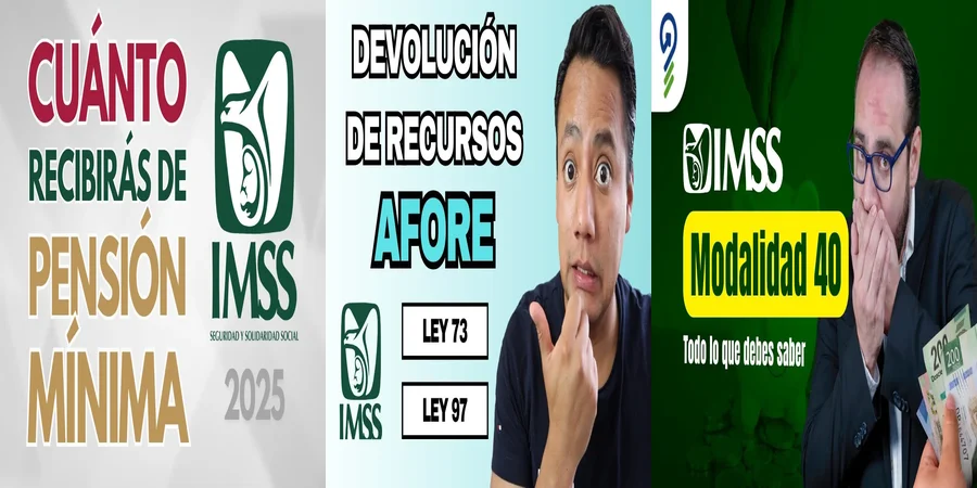 "Aspectos clave de la ley del IMSS en México para trabajadores"