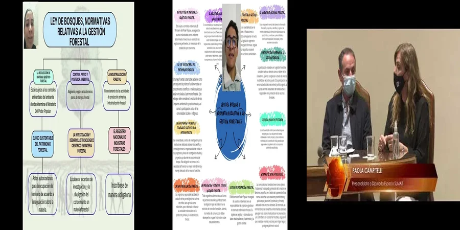 "Aspectos clave de la ley del bosque en México y su impacto legal"