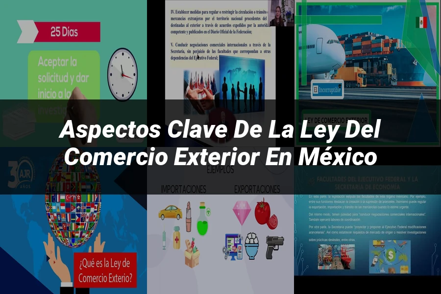 "Aspectos clave de la ley del comercio exterior en México"
