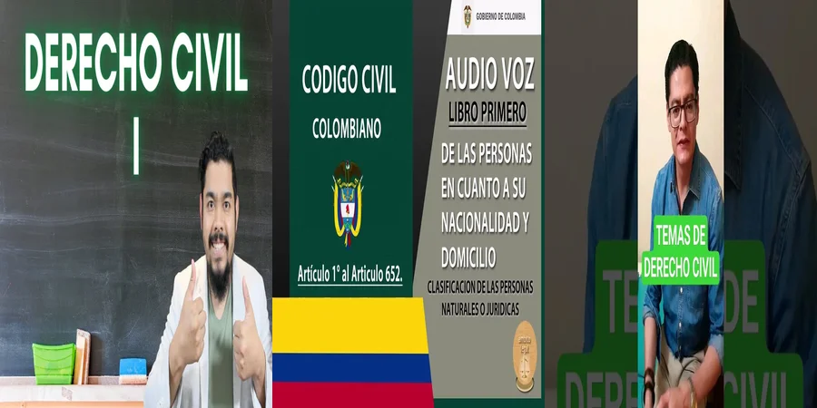 "Aspectos clave de la ley del código civil en México"