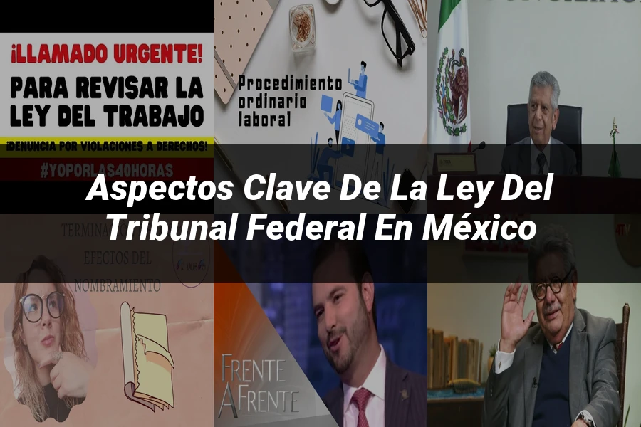 "Aspectos clave de la ley del tribunal federal en México"