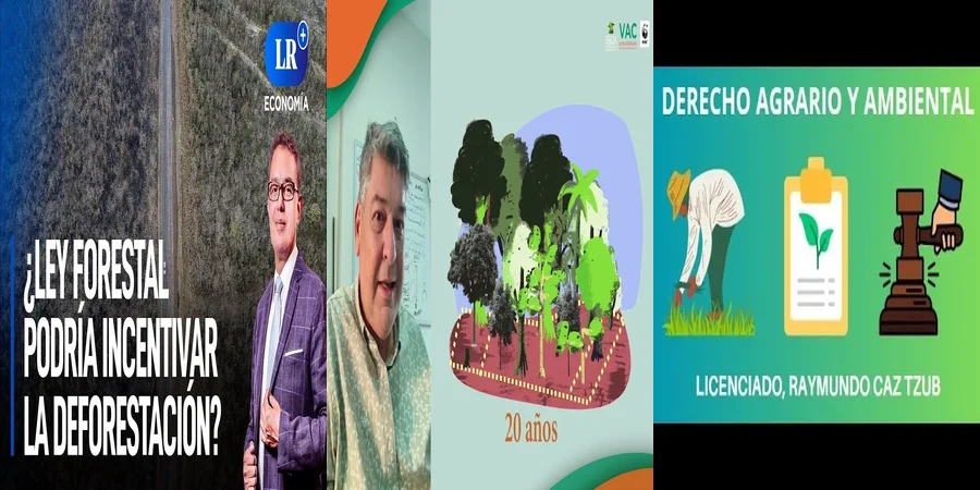 "Aspectos clave de la ley forestal en México que debes conocer"