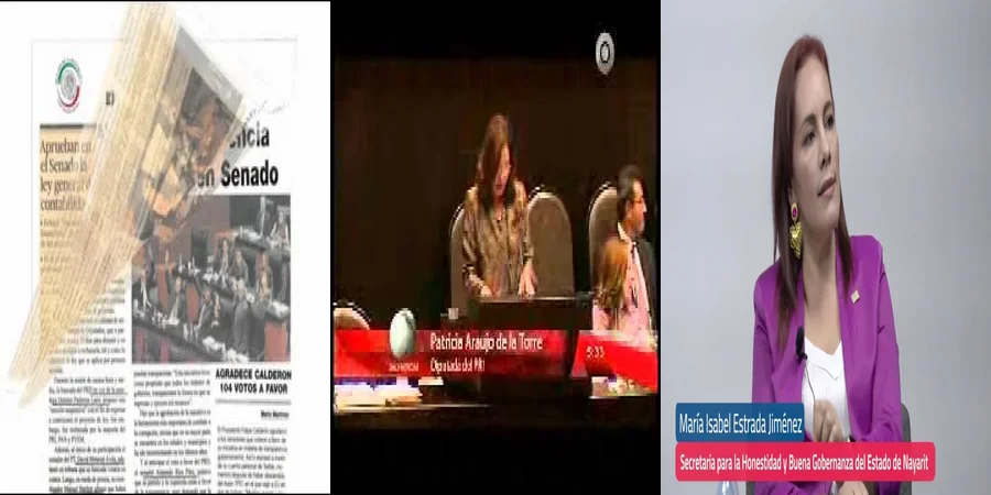 "Aspectos clave de la ley general de contabilidad gubernamental en México"