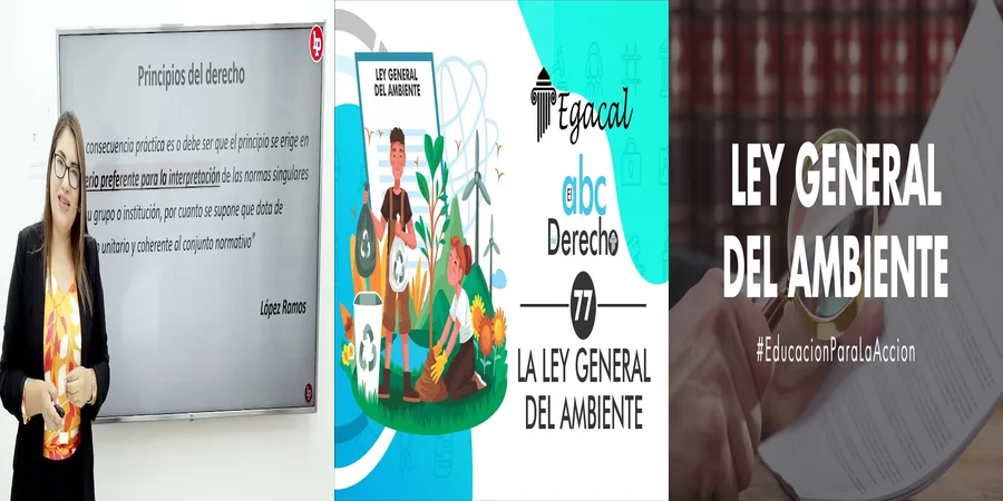 "Aspectos clave de la ley general de medio ambiente en México"