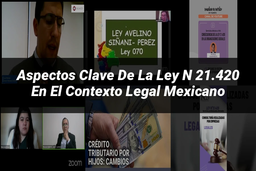 "Aspectos clave de la ley n 21.420 en el contexto legal mexicano"