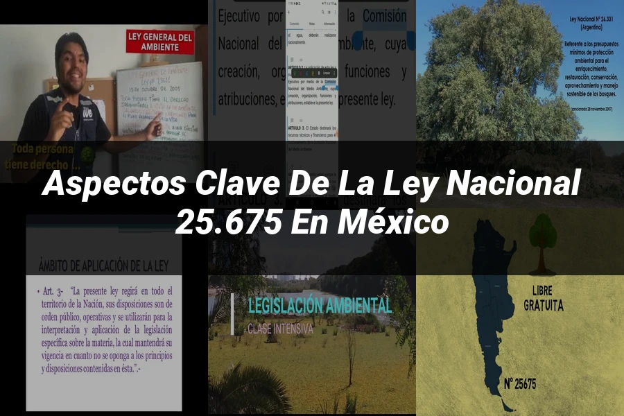 "Aspectos clave de la ley nacional 25.675 en México"
