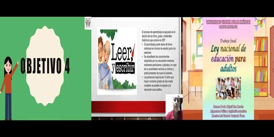 "Aspectos clave de la ley nacional de educación para adultos en México"