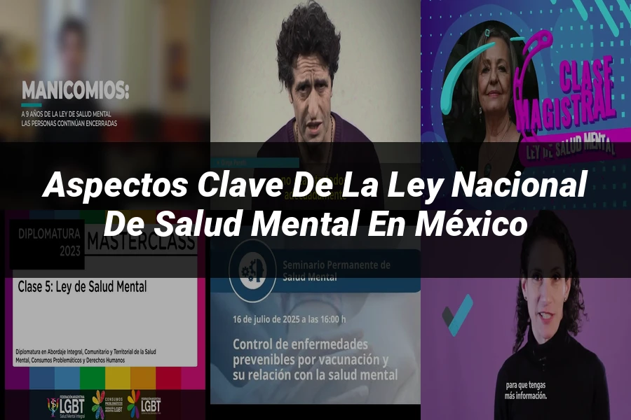 "Aspectos clave de la ley nacional de salud mental en México"