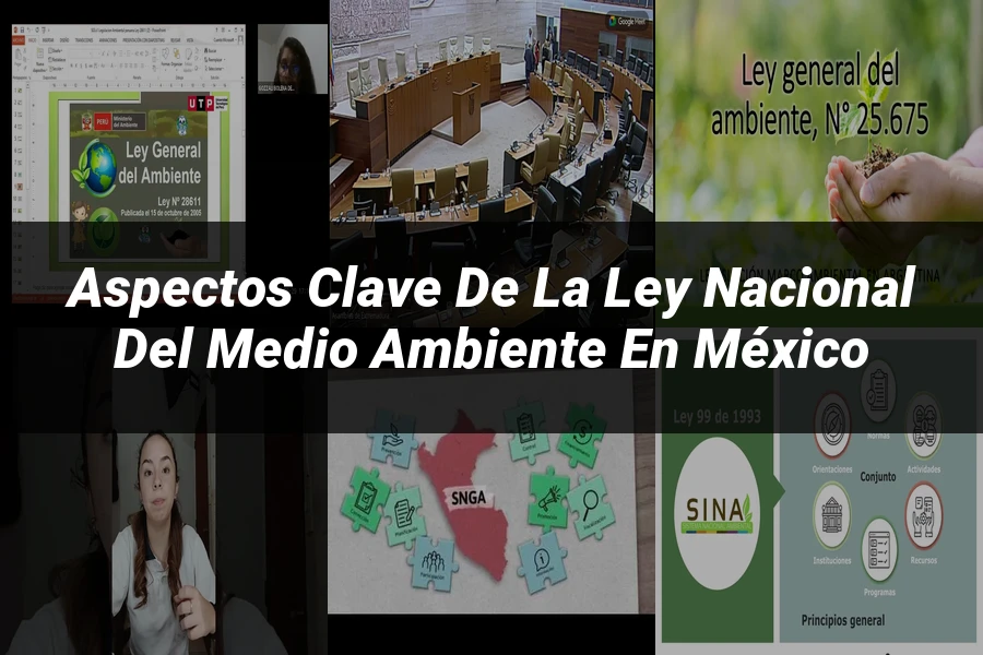 "Aspectos clave de la ley nacional del medio ambiente en México"