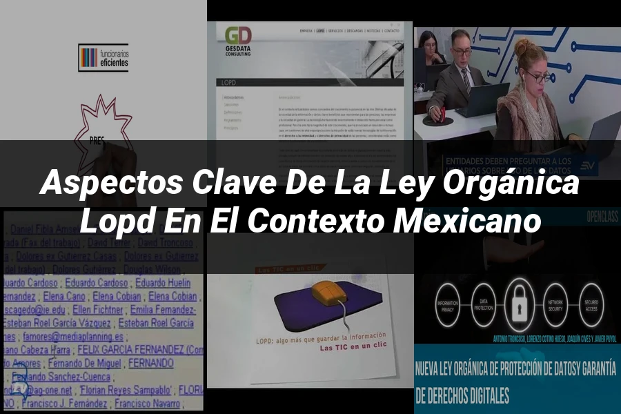"Aspectos clave de la ley orgánica LOPD en el contexto mexicano"