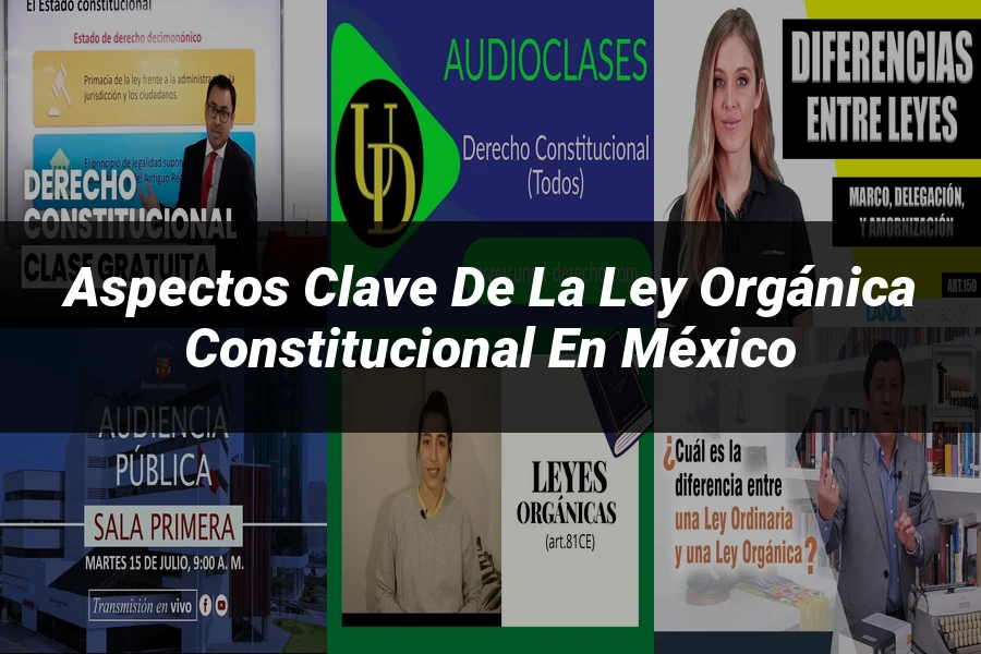 "Aspectos clave de la ley orgánica constitucional en México"