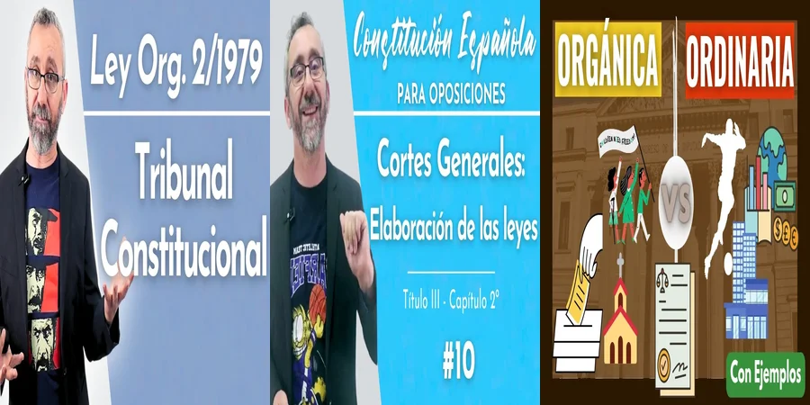 "Aspectos clave de la ley orgánica constitucional en México"