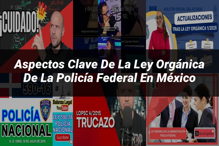 "Aspectos clave de la ley orgánica de la policía federal en México"