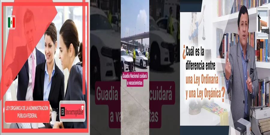 "Aspectos clave de la ley orgánica de la policía federal en México"