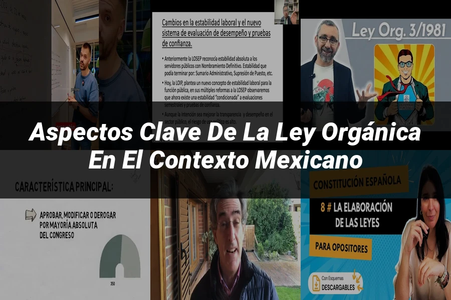 "Aspectos clave de la ley orgánica en el contexto mexicano"