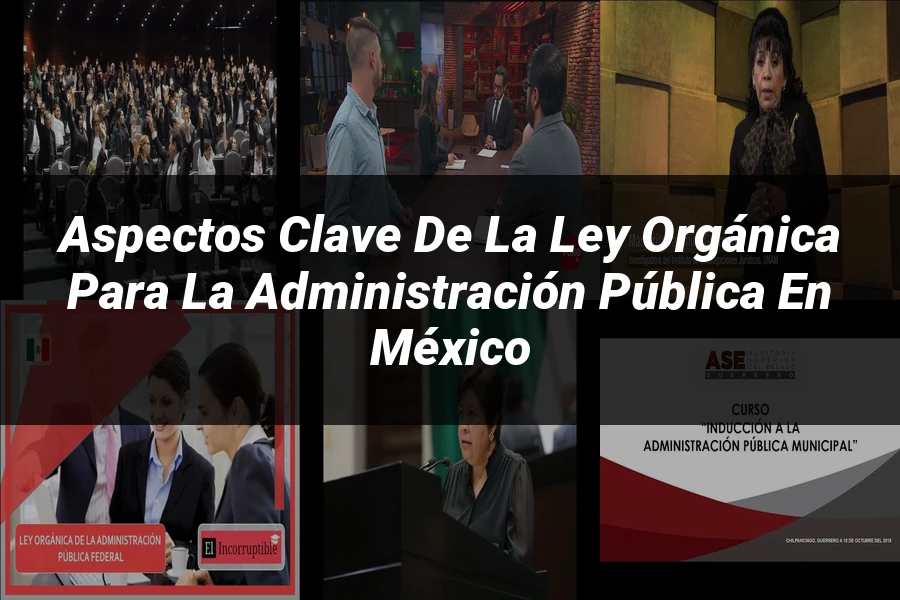 "Aspectos clave de la ley orgánica para la administración pública en México"