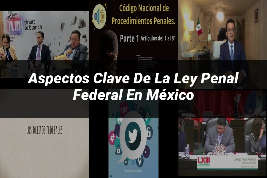 "Aspectos clave de la ley penal federal en México"