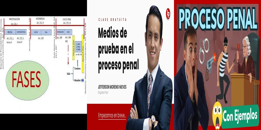 "Aspectos clave de la ley procesal penal en México"