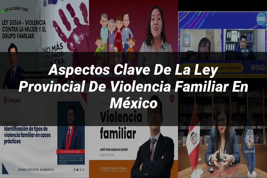 "Aspectos clave de la ley provincial de violencia familiar en México"