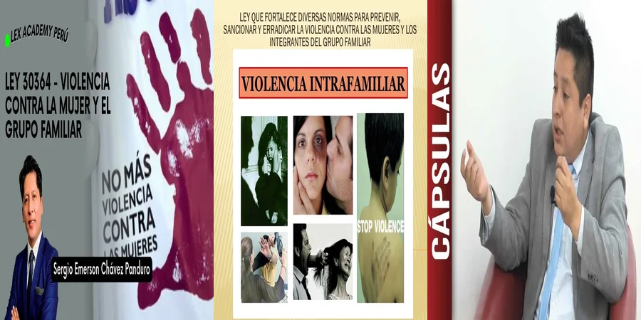 "Aspectos clave de la ley provincial de violencia familiar en México"