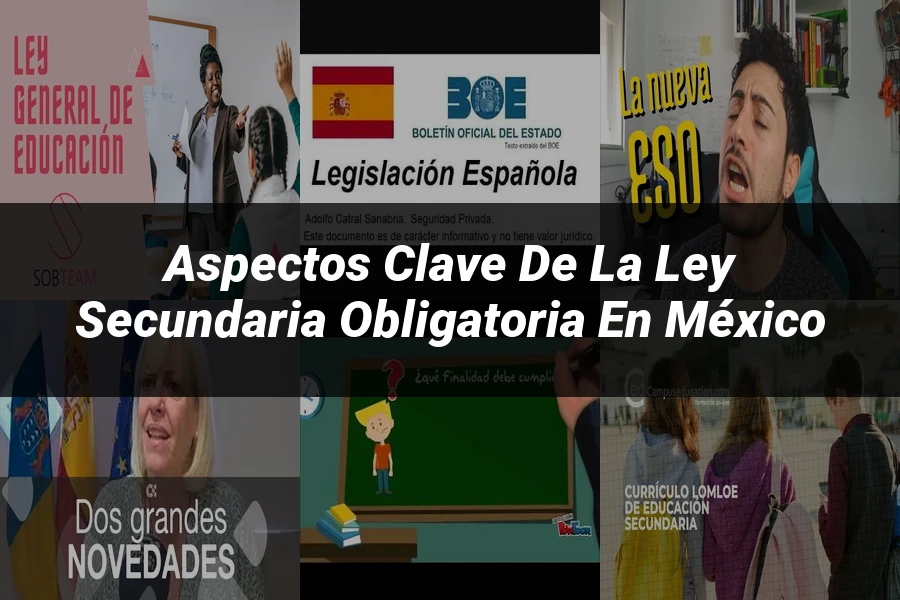 "Aspectos clave de la ley secundaria obligatoria en México"