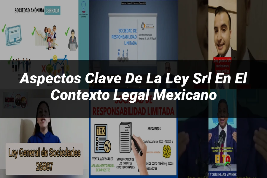 "Aspectos clave de la ley srl en el contexto legal mexicano"