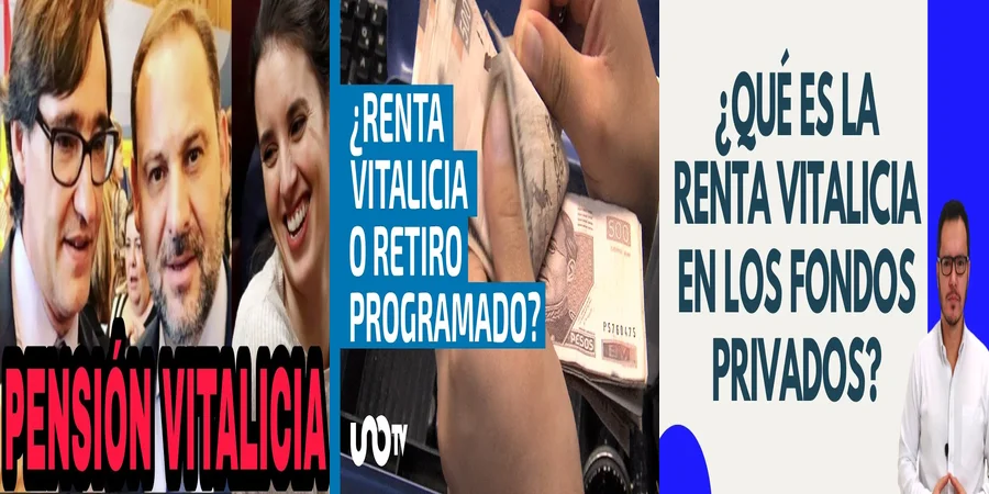 "Aspectos clave de la ley vitalicia en México para tu futuro"