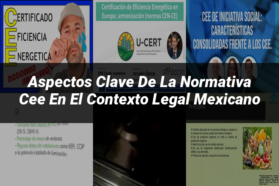 "Aspectos clave de la normativa CEE en el contexto legal mexicano"