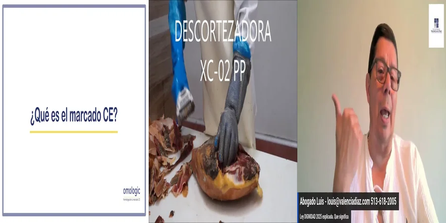 "Aspectos clave de la normativa CEE en el contexto legal mexicano"