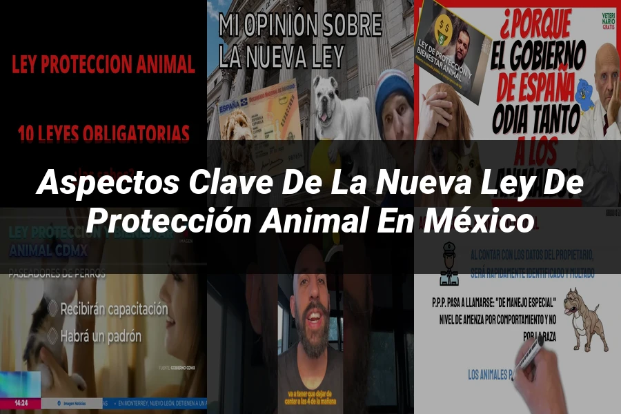 "Aspectos clave de la nueva ley de protección animal en México"