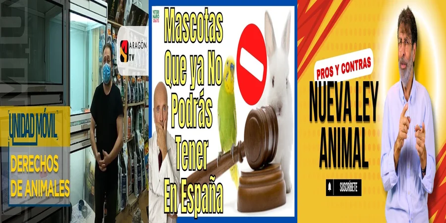 "Aspectos clave de la nueva ley de protección animal en México"