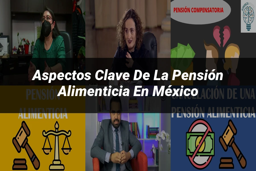 "Aspectos clave de la pensión alimenticia en México"