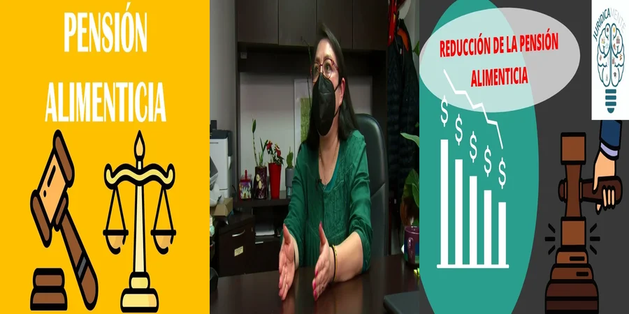 "Aspectos clave de la pensión alimenticia en México"