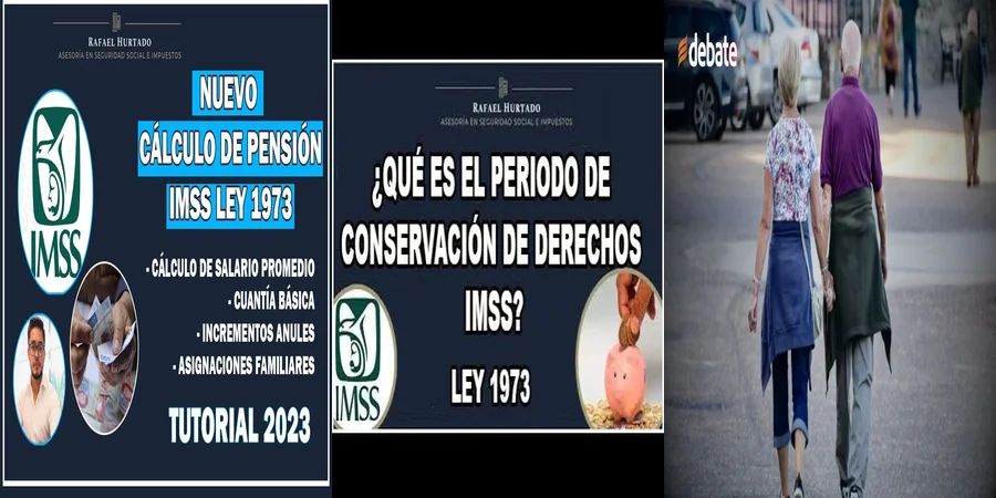 "Aspectos clave de la pensión anticipada del IMSS en México"