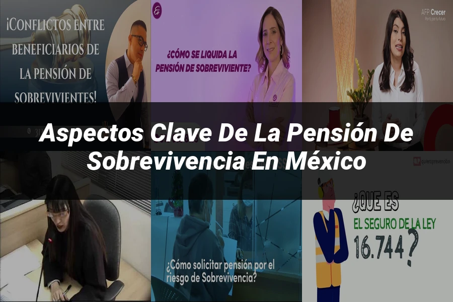 "Aspectos clave de la pensión de sobrevivencia en México"