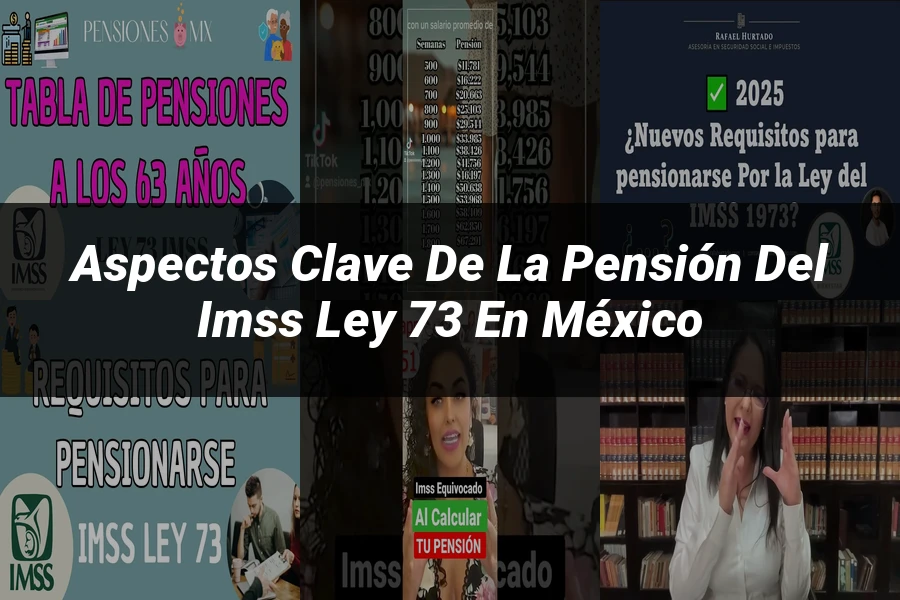 "Aspectos clave de la pensión del IMSS ley 73 en México"