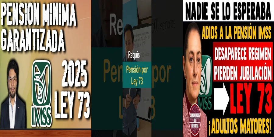 "Aspectos clave de la pensión del IMSS ley 73 en México"
