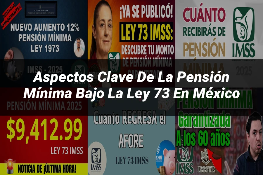 "Aspectos clave de la pensión mínima bajo la ley 73 en México"