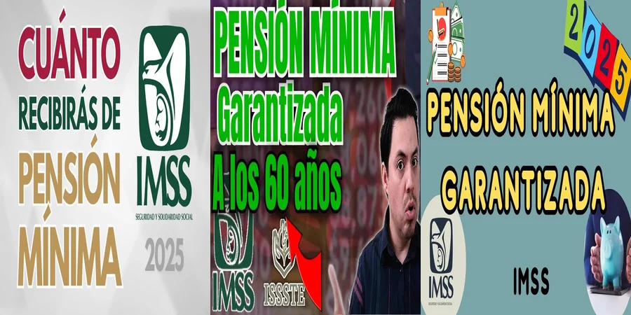 "Aspectos clave de la pensión mínima bajo la ley 73 en México"