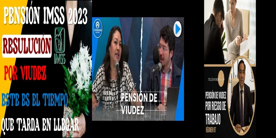 "Aspectos clave de la pensión por viudez en la ley 97 en México"