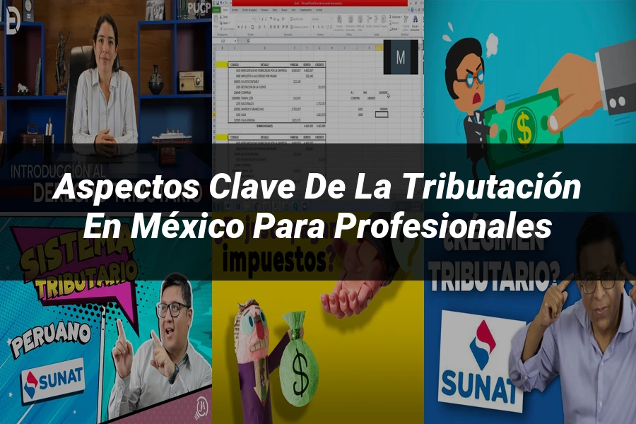 "Aspectos clave de la tributación en México para profesionales"