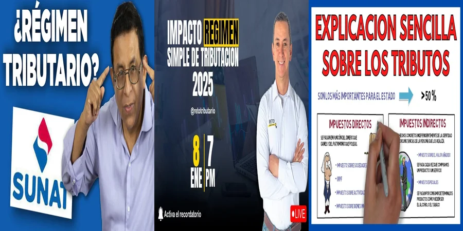 "Aspectos clave de la tributación en México para profesionales"
